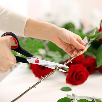 Amazon.co.jp: はさみ まとめ買い 6本パック 万能はさみ