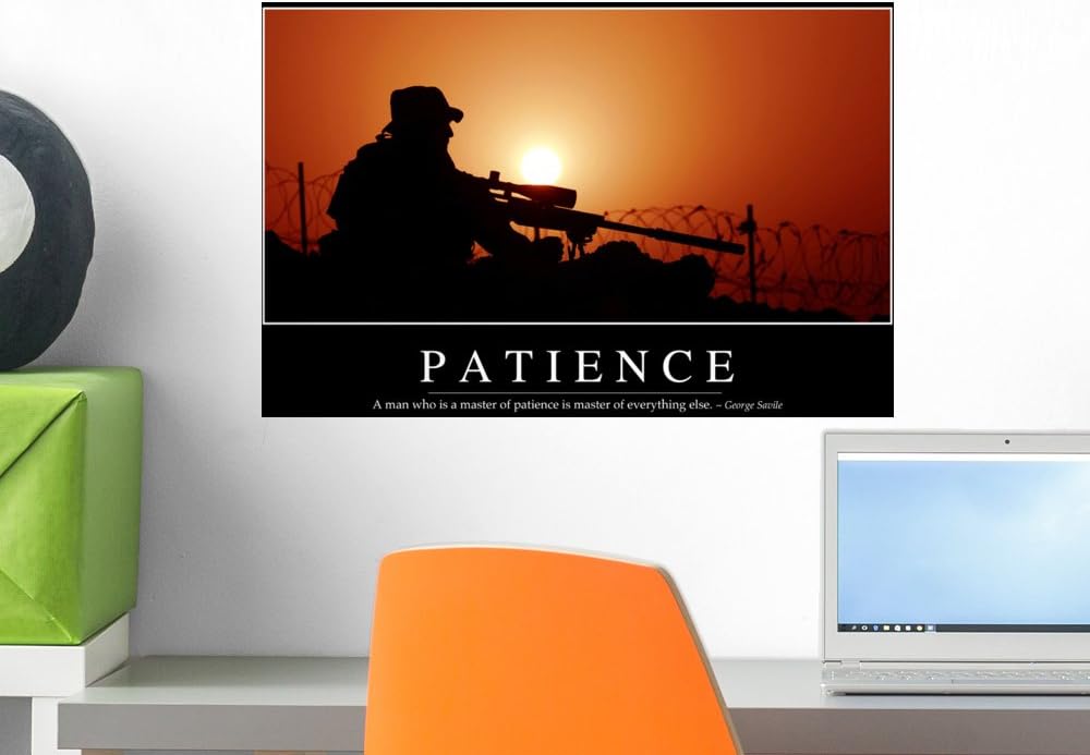 Patience Inspirational Quote and Wall Mural by Wallmonkeys Peel and Stick Graphic (18 in W x 12 in H) WM128169