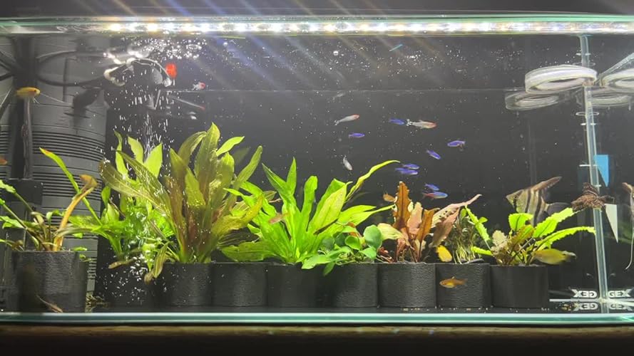 ゼンスイ Viiita 900 アクアリウム照明 LED 淡水海水 ゼンスイ Viiita 900 アクアリウム照明 LED 淡水海水 Amazon.co