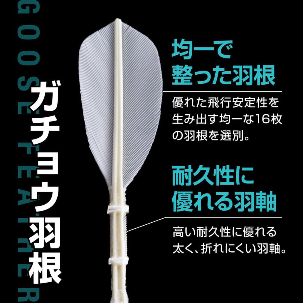 Amazon | TIGORA(ティゴラ) バドミントン 練習用シャトル 水鳥羽根