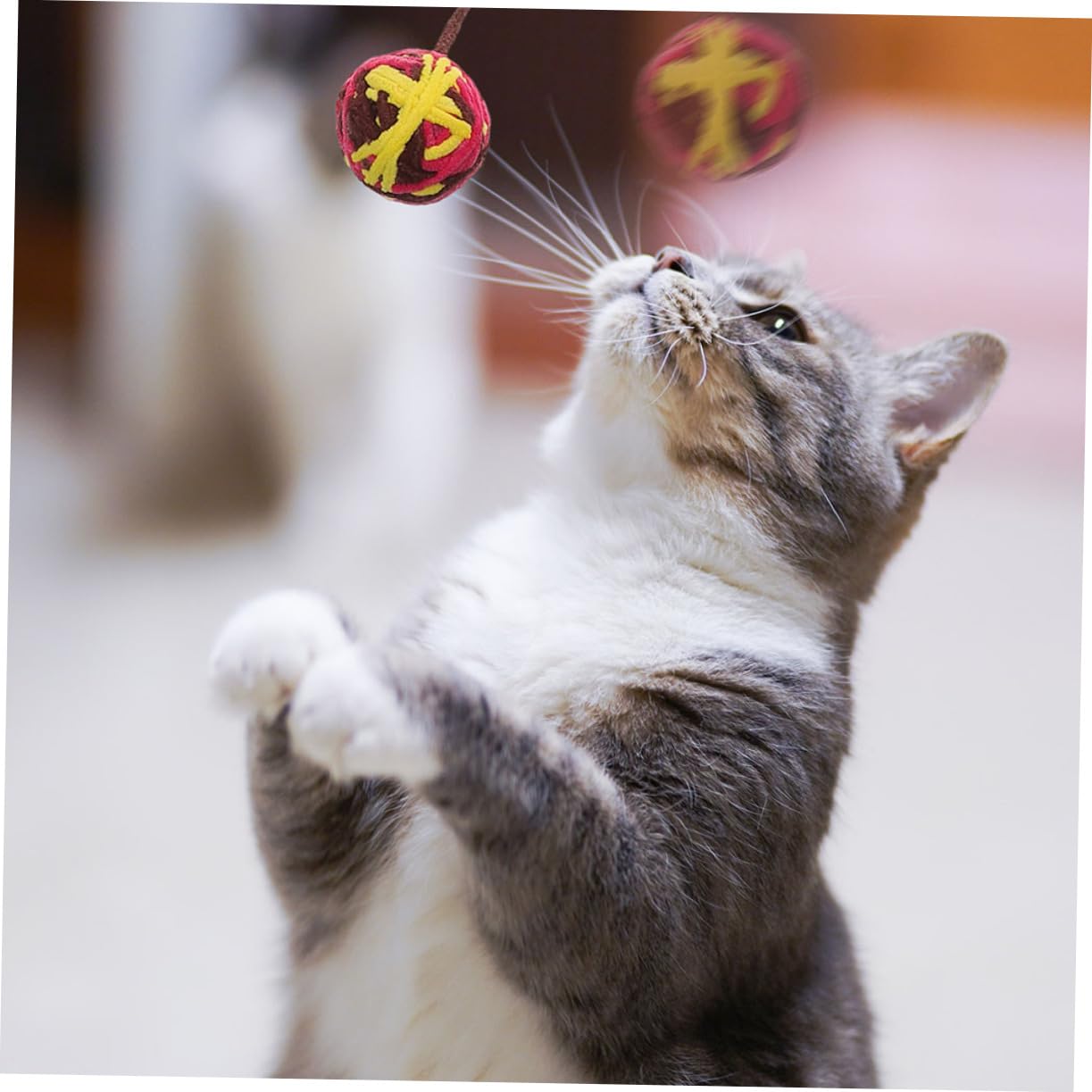 SUPVOX 25pièces Balles Colorées avec Clochettes pour Chats Jouets Portables Amusants pour Chatons Et Accessoires De Jeu pour Chats Style Mixte