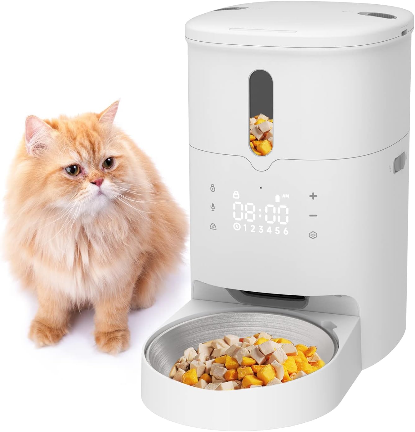 Pawmate 3L Comedero automático para Gatos, dispensador de Alimentos para Mascotas con Pantalla táctil con tazón de Acero Inoxidable, 1-6 Comidas al día, grabación de Voz de 10s