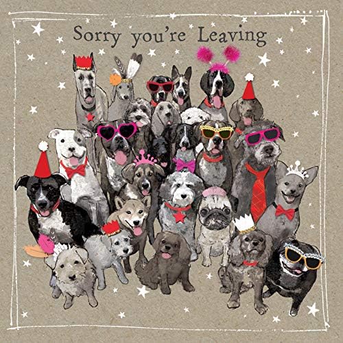 Biglietto D'auguri Con Mongolfiere E Champagne | Sorry You're Leaving | Made In UK Con Finiture In Oro