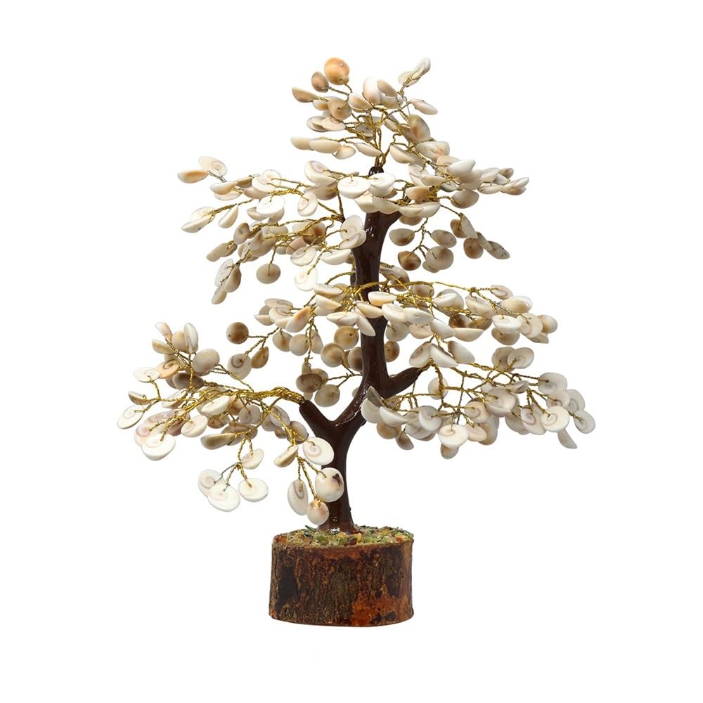 CHAKRADHARI 100% Natural Gomti Chakra Big Conch Shell Tree-picture-13