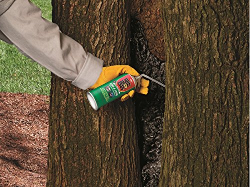 Great Stuff 283064 12Oz Gs Pond&Stone Foam Sealant, Each, Black #TOP4