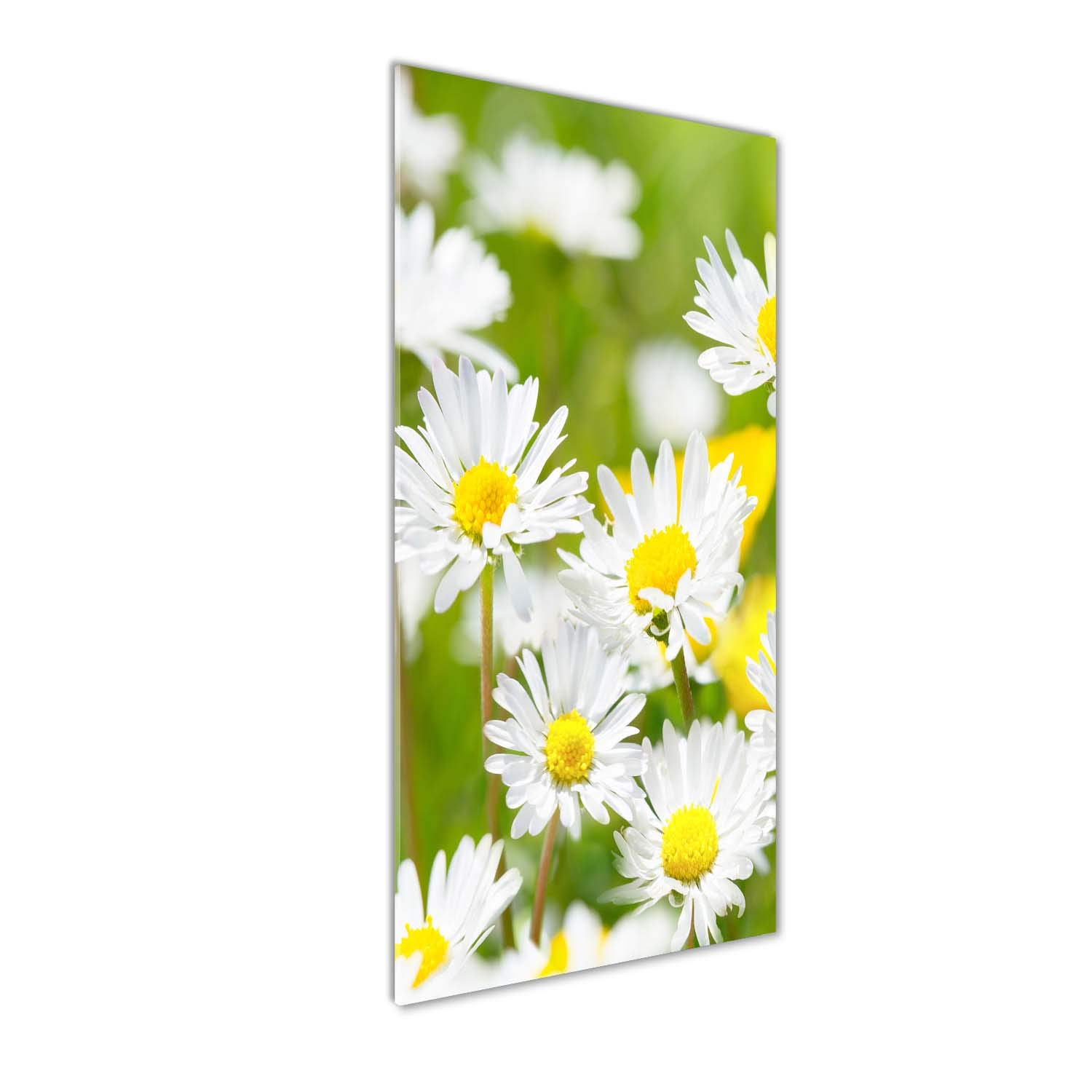Image sur verre de marguerites jaunes Tulup pour illuminer votre salon