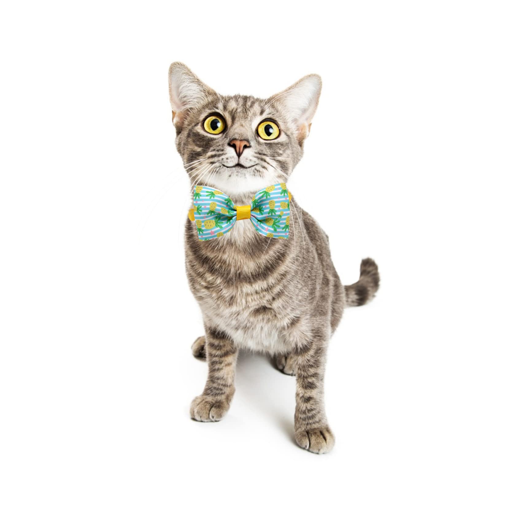 POPETPOP 48 STK Haustier Fliege Katze Bowknot-Halsband Kätzchen Fliege Süßer Schleifenkragen Halsschleifen Für Hunde Haustierhalsbänder Baby Kleine Tiere Gerippter Gürtel Mädchen
