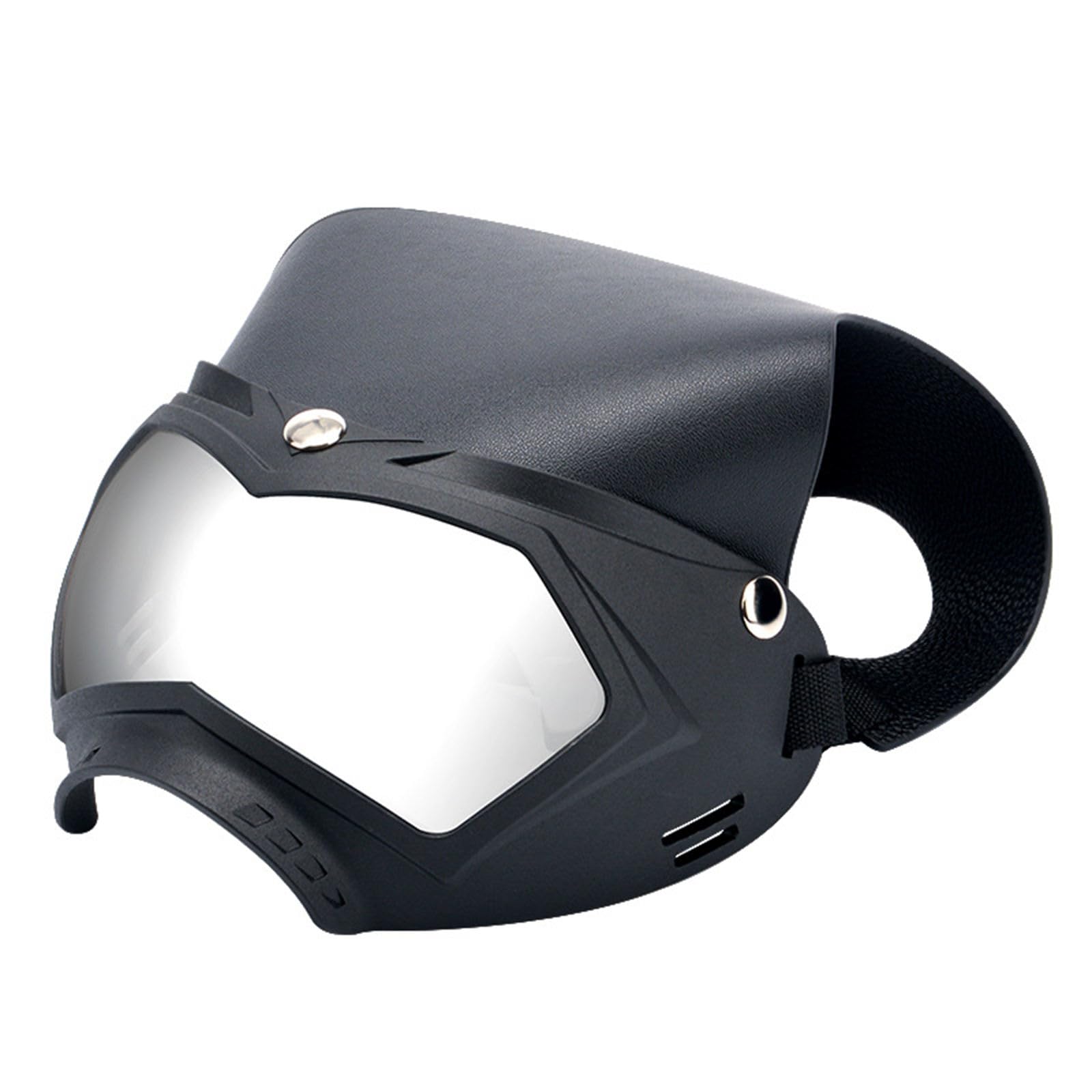 Lunettes de soleil pour animaux indispensables pour les promenades sportives