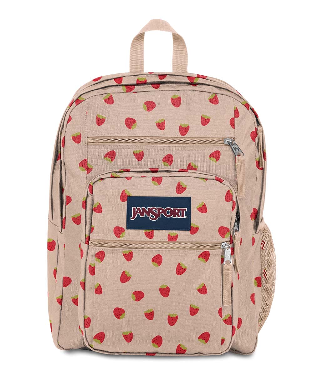 JanSport Laptop Backpack - Computer Bag with 2 Compartments, Ergonomic Shoulder Straps, 15” Laptop Sleeve, Haul Handle - Book Rucksack - Strawberry Shower