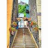 【Merkmal】: Hochauflösend und von ausgezeichneter Qualität, nahtlos, zusammenklappbar, faltenfrei, langlebig, leicht, nicht reflektierend.
