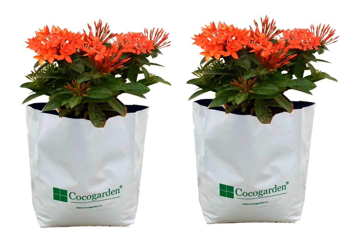 cocogarden UV Treated Poly Grow Bags for Terrace Gardening (28 x 28 x 48) cms (White, Pack of 2) | Home Gardening Plant Container Bag for Leafy Vegetable and Flower Plants