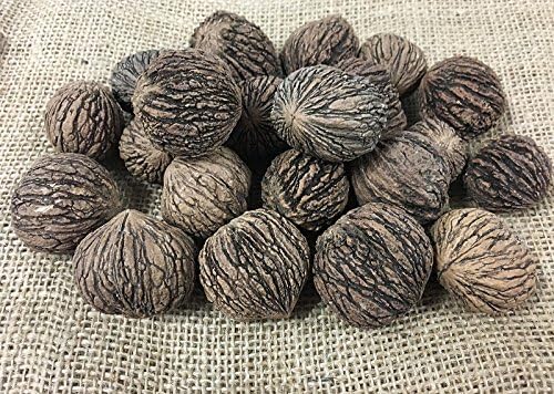 Hudson Valley Harvest Whole Black Walnuts, 1lb