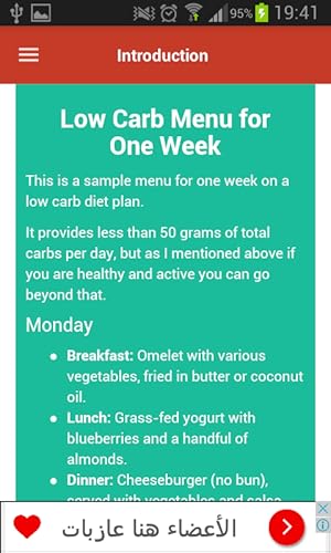 Low Carb Diet Guide: a Weight Loss Diet Guide and Healthy Delicious low carb Recipes