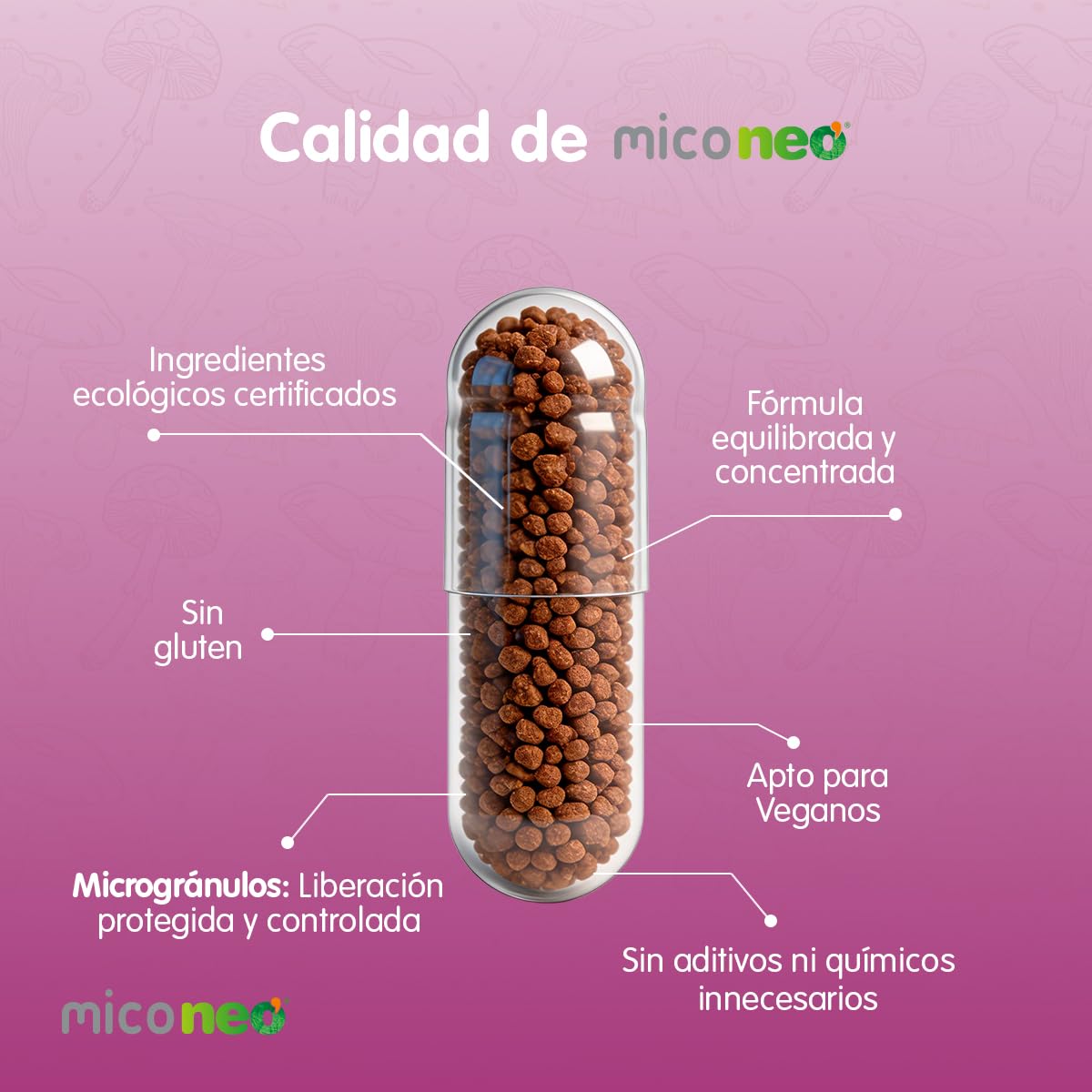 MICO NEO | DEF | 60 Cápsulas | Suplemento Alimenticio de Hongos Naturales Para Mejora de Las Defensas | Con Reishi, Shiitake, Maitake, Cordyceps, Champiñón del Sol y Uña de gato