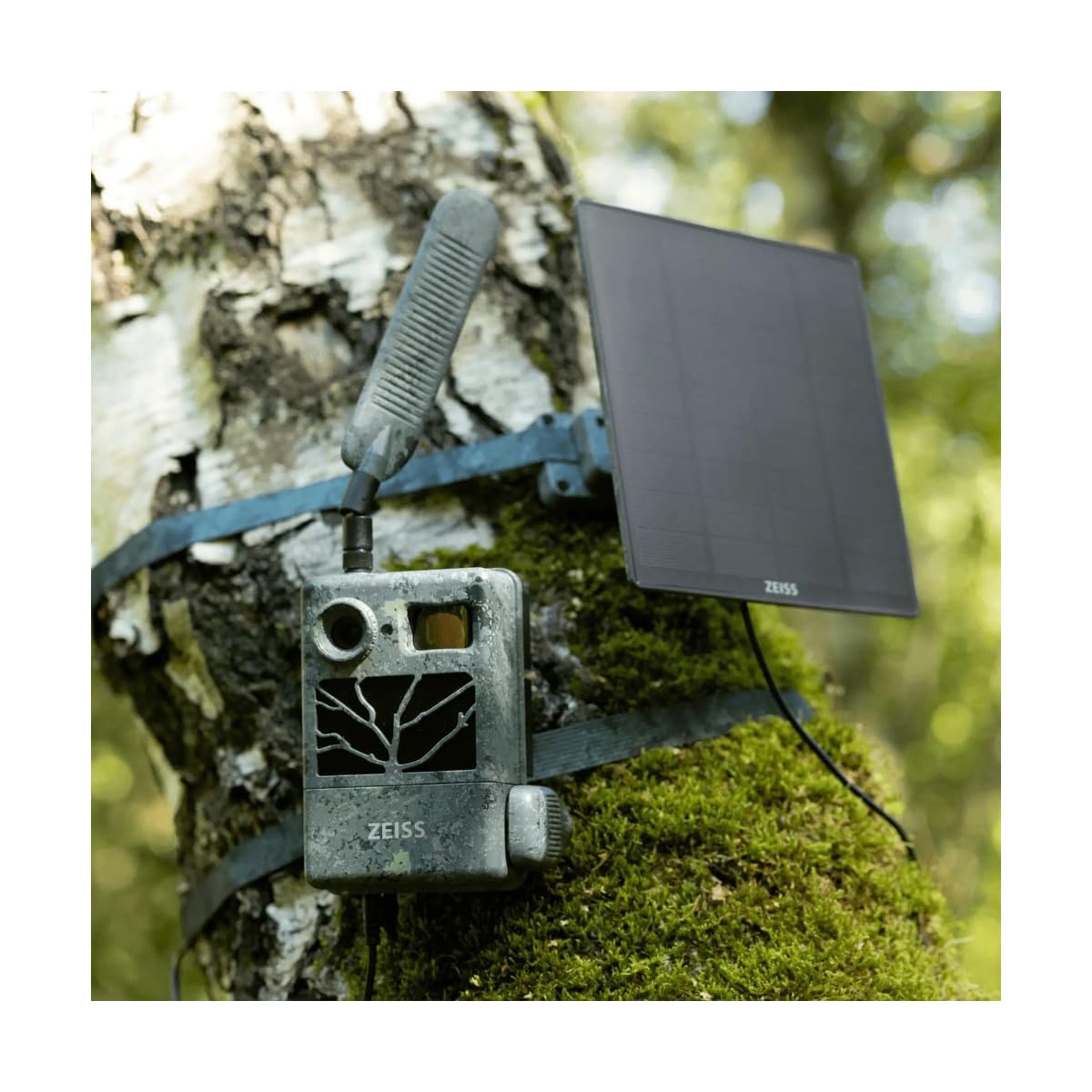 ZEISS Panel solarny Pro – ładowarka solarna do kamery leśnej 10000 mAh powerbank z zewnętrznym akumulatorem solarnym IP66, klasa ochrony IP66, przenośna, ogniwo słoneczne, kabel 5 m