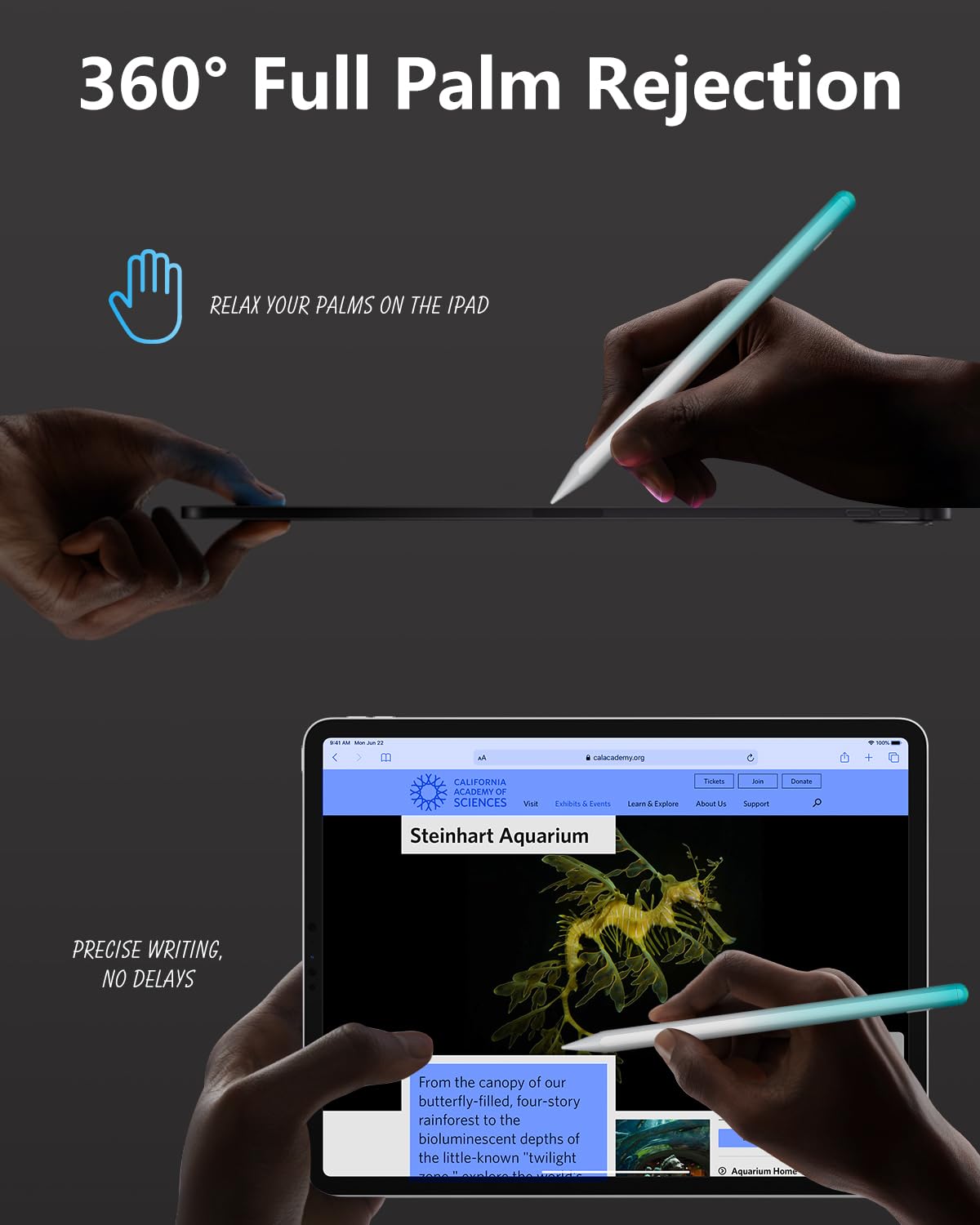 Amazon.in: Buy Pencil Pro for iPad 2018-2025, IPencil with 15 Min