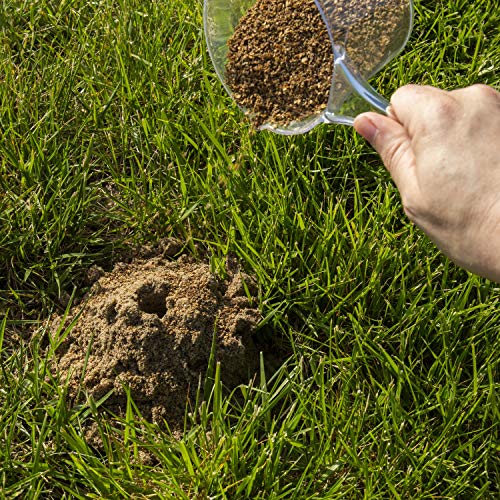 Image of Spectracide Fire Ant Shield Mound Destroyer Granules 7 Pounds, Kills The Queen And Colony, 4 Pack