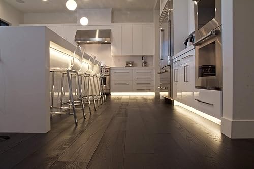 Miniatura 5 de Diode LED Blaze™ Basics 200 LED Cinta de luz 12V 2700K 16.4ft 2.93/ft Carrete