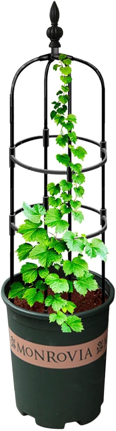 超新作 トレリス オベリスク ガーデニング用支柱 園芸 支柱 金属製 花ささえ 植物サポート杭 植物サポート リング 園芸支柱 つる性植物 観葉支柱 誘引 観葉植物サポート 植物支柱 支柱だけ 花支え ガーデニング用品 植物サポートステーク フラワースタンド 支柱棚 野菜 超新作 トレリス オベリスク ガーデニング用支柱 園芸 支柱 金属製 花ささえ 植物サポート杭 植物サポート リング 園芸支柱 つる性植物 観葉支柱 誘引 観葉植物サポート 植物支柱 支柱だけ 花支え ガーデニング用品 植物サポートステーク フラワースタンド 支柱棚 野菜