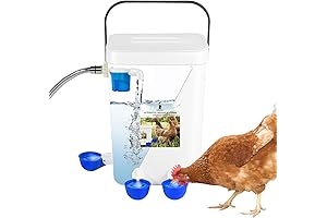 Automatic Water Dispenser: Essential Hydration for Your Poultry