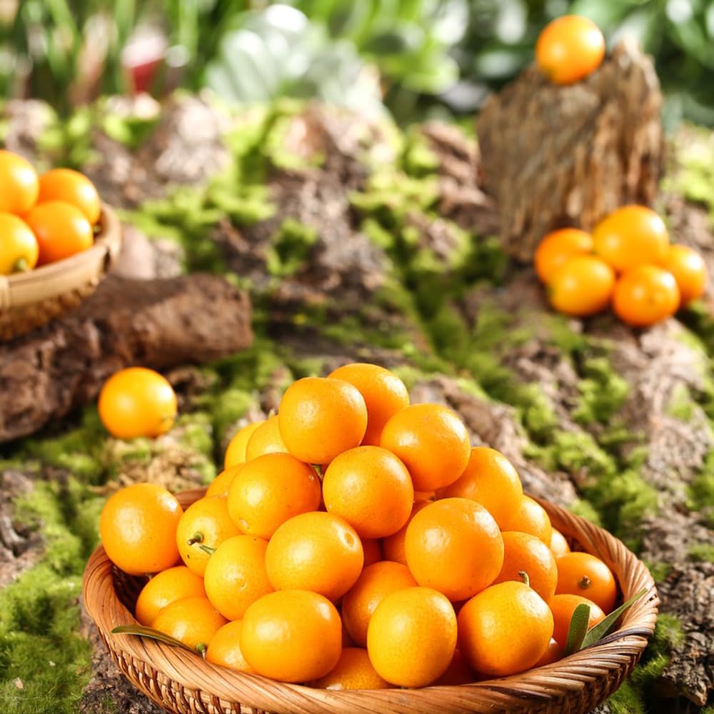 Kumquat Pflanze Samen 200 Stück - Winterharte Zwergobstbäume Für Garten & Balkon