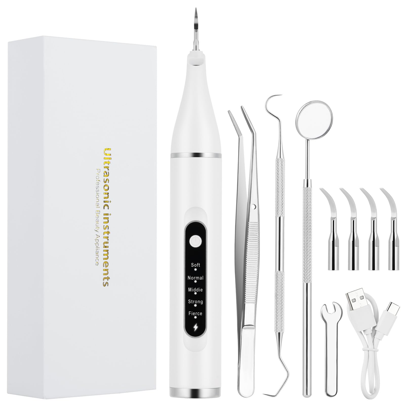 Aomig Kit di Pulizia dei Denti per Animali Domestic, Kit Pulizia Denti Cane per Tartaro e Macchie, Spazzolino Ultrasuoni Cane con Luce LED, 5 Modalità di Pulizia, Kit Rimuovere Macchie di Denti