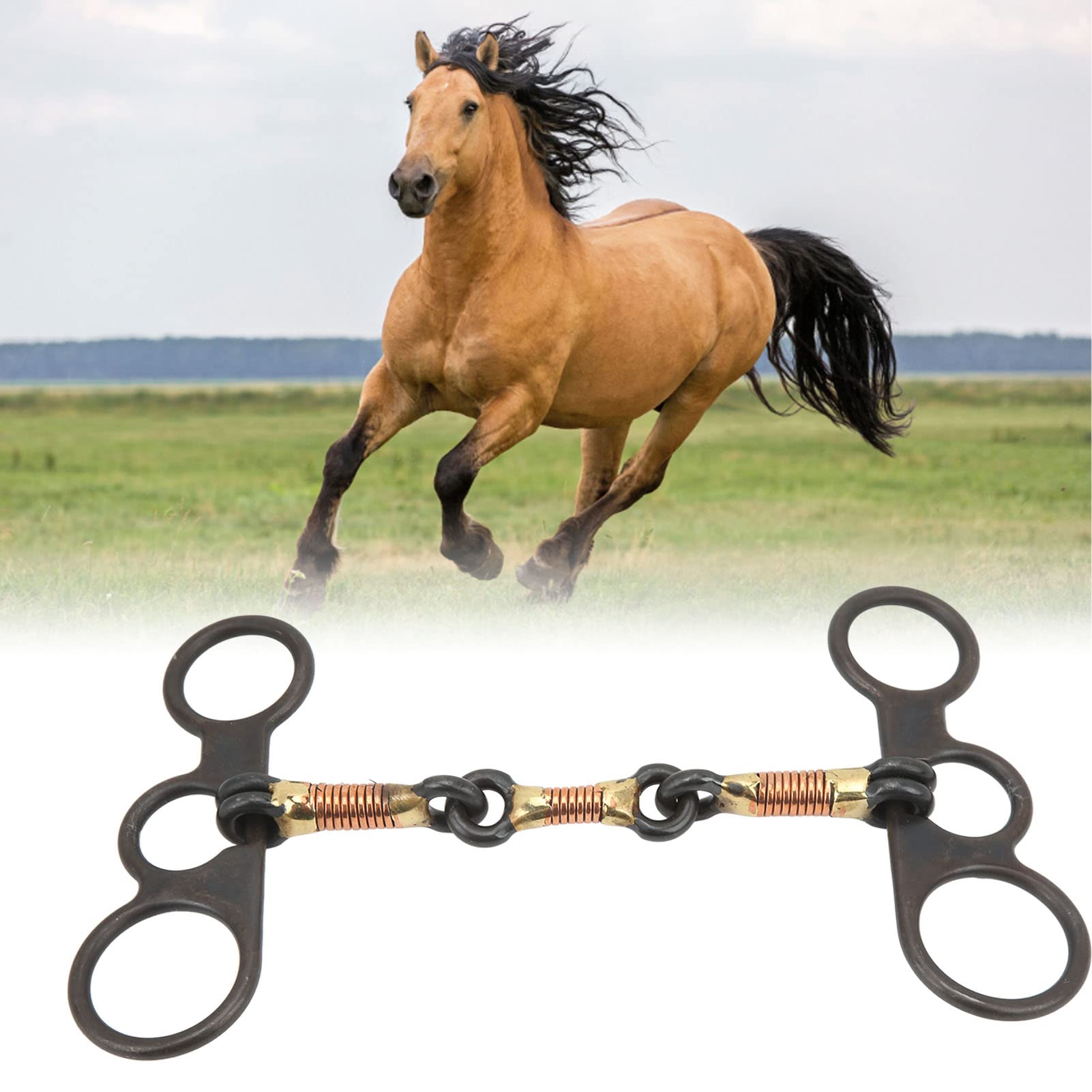Mors De Cheval, Mors De Cheval De Style Occidental Mors De Cheval De Bouche De Cheval Con U Pour Les Professionnels