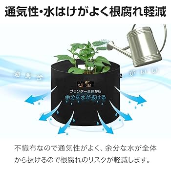 値下げw 極太ファットウッド肥松約50cm約3.4kg最大径11cm 値下げw 極太ファットウッド肥松約50cm約3.4kg最大径11cm 値下げ