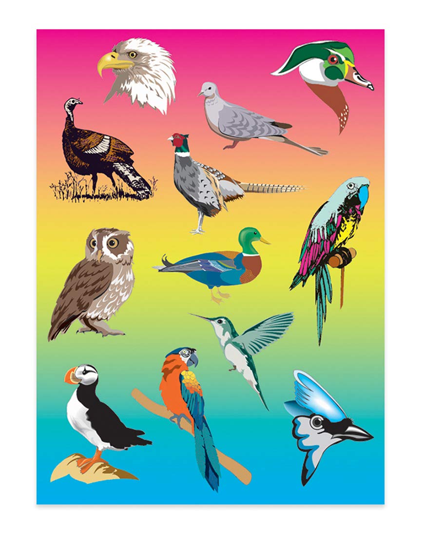 Autocollants oiseaux colorés Hygloss | Pack géant de 100 planches créatives