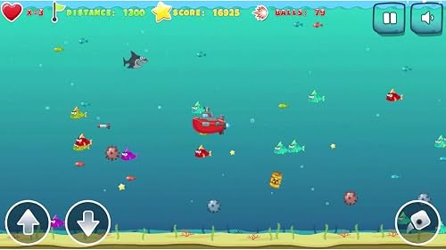Mad Shark – vue 9