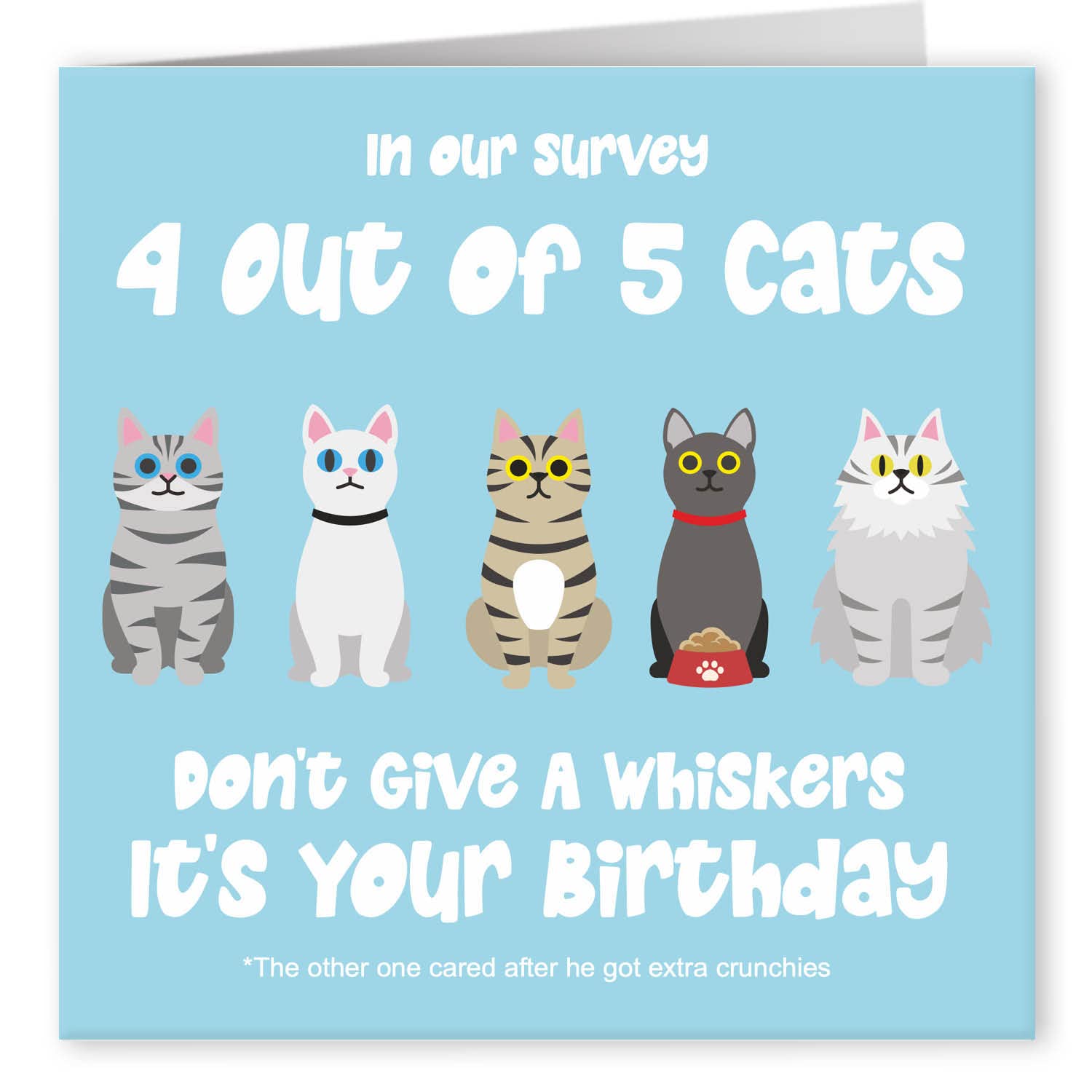 Buy Cult Kitty 4 Out Of 5 Cats Joke Happy Birthday Cards For Him