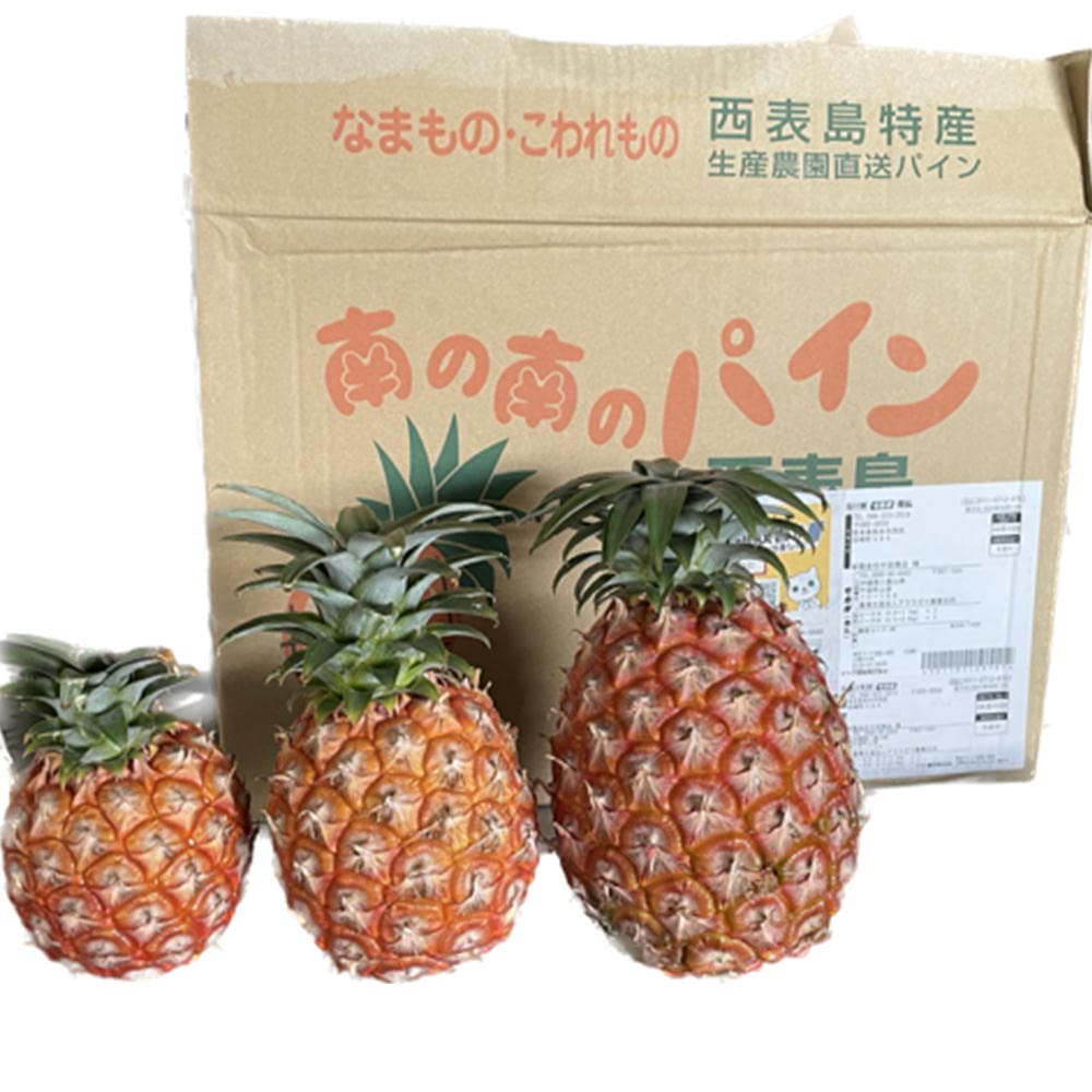 Amazon.co.jp: ピーチパイン 1.8kg（2〜5本） 西表島産 アララガマ