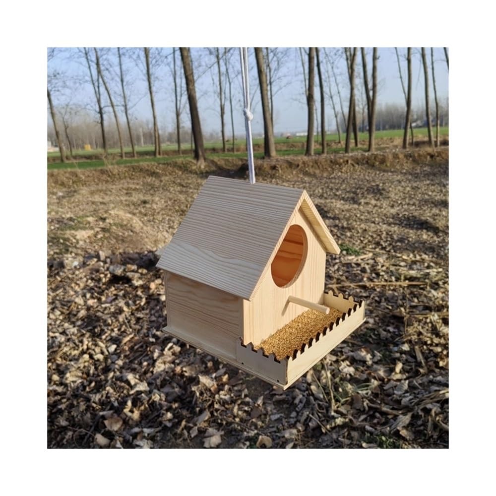 Mangeoire automatique for oiseaux extérieur boîte nourriture suspendue