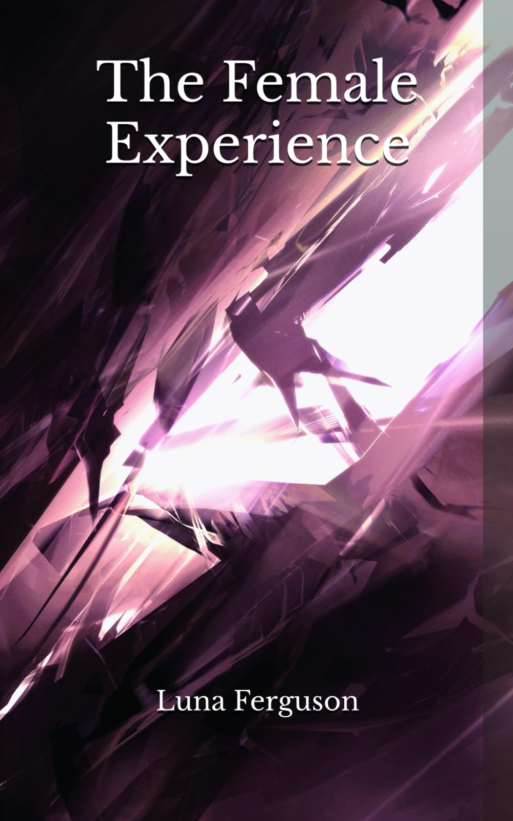 The Female Experience