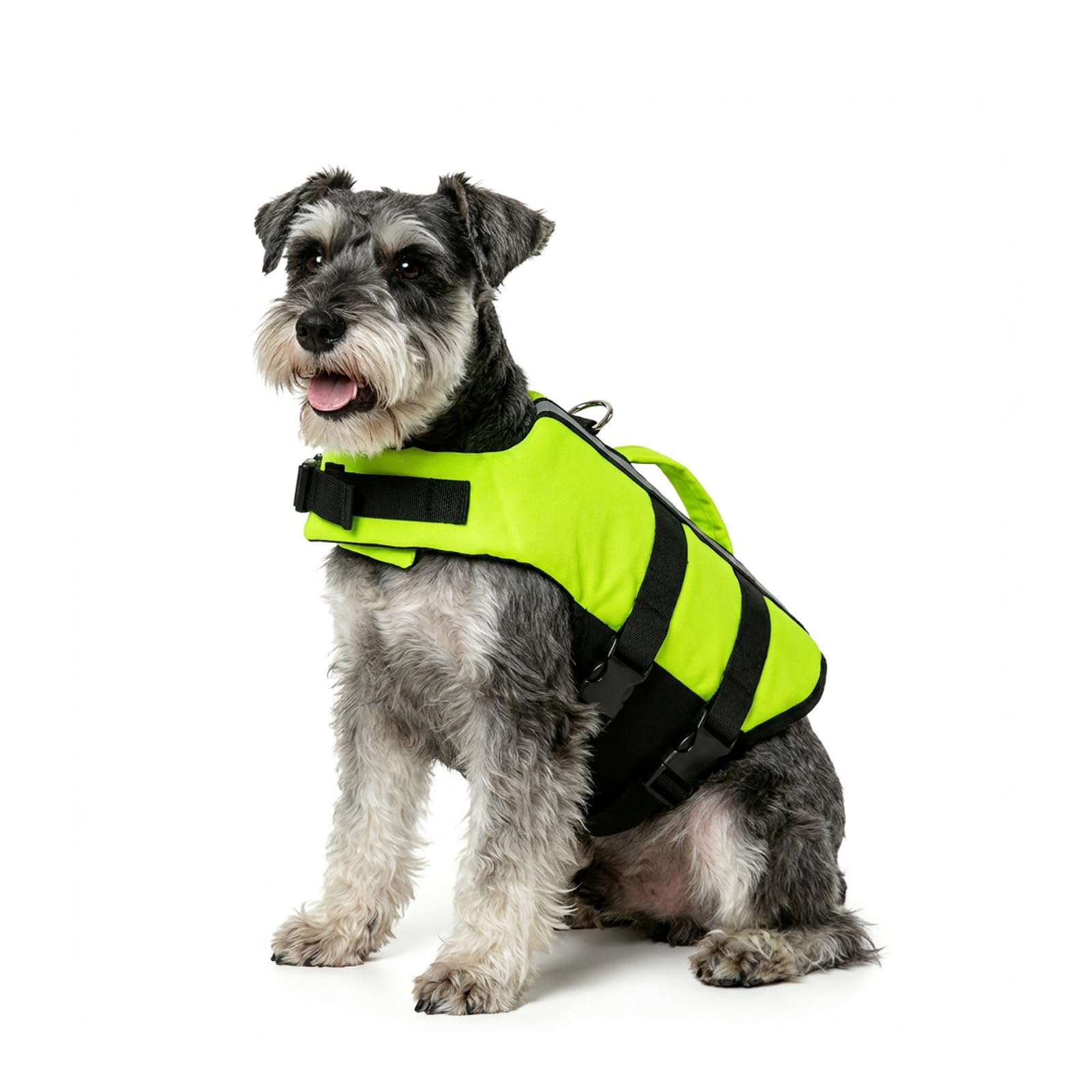 PETLESO Dog Life Jacket with Rescue Handle, High Visibility Adjustable Pet Life Vest for Swimming, Boating & Water Sports - Neon Green, M