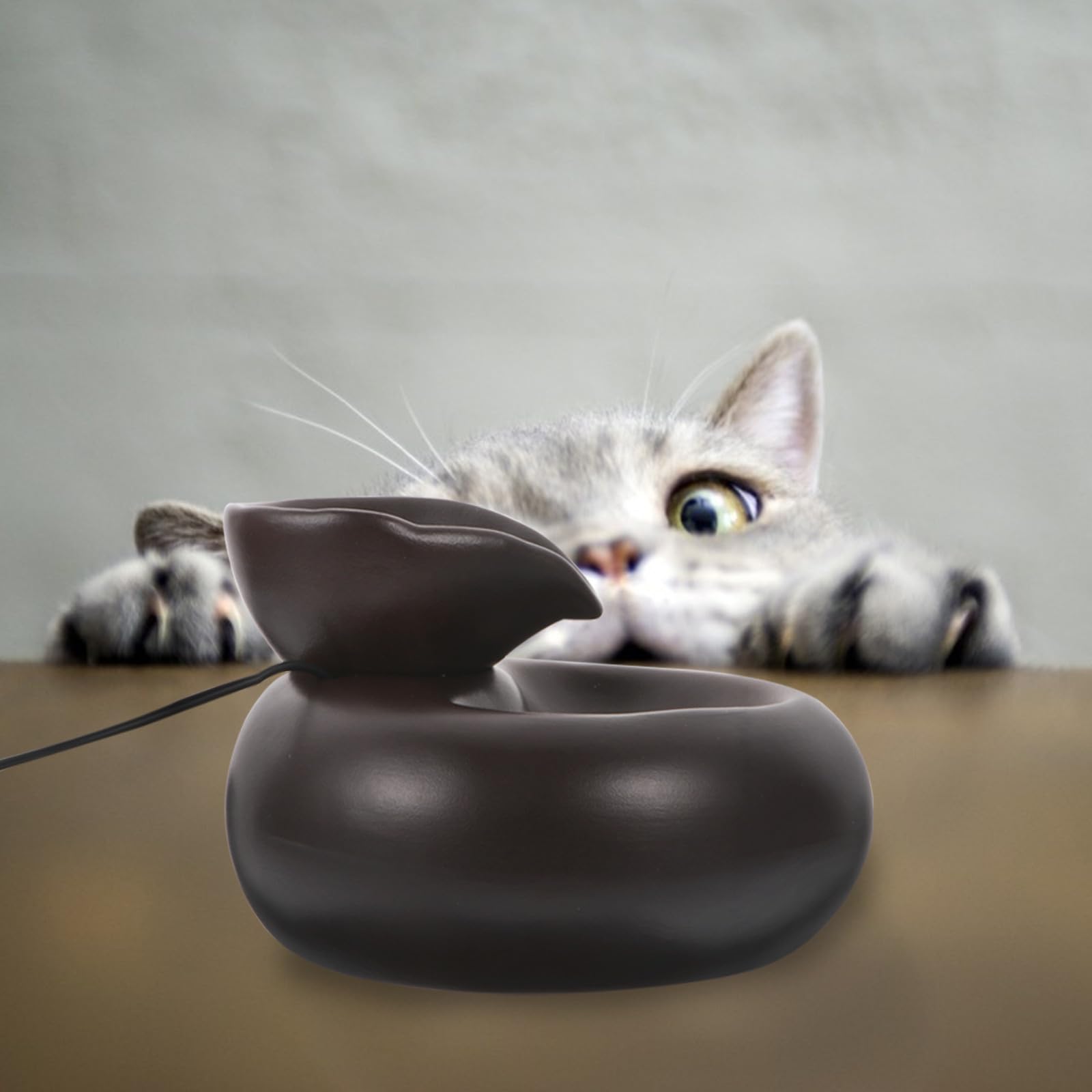 Fontanella Gatti Automatica USB Circolazione Continua, Ceramico Nero