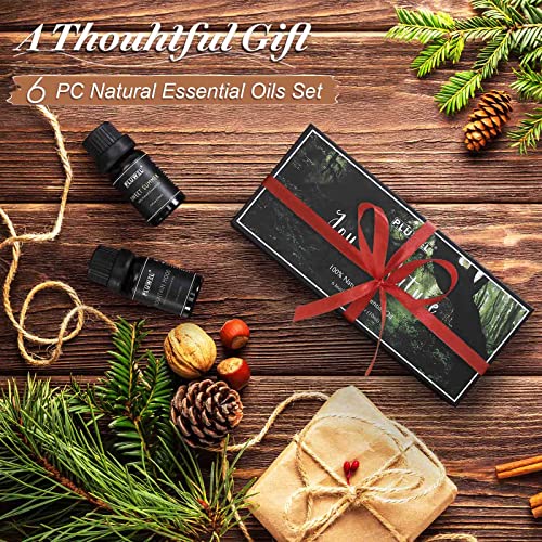 Essential Oils Set-Joy Of Nature Essential Oil Blends For Diffuser,Candle,Fragrance,Gift Set 6 X10 Ml/0.33 Fl.oz #TOP6