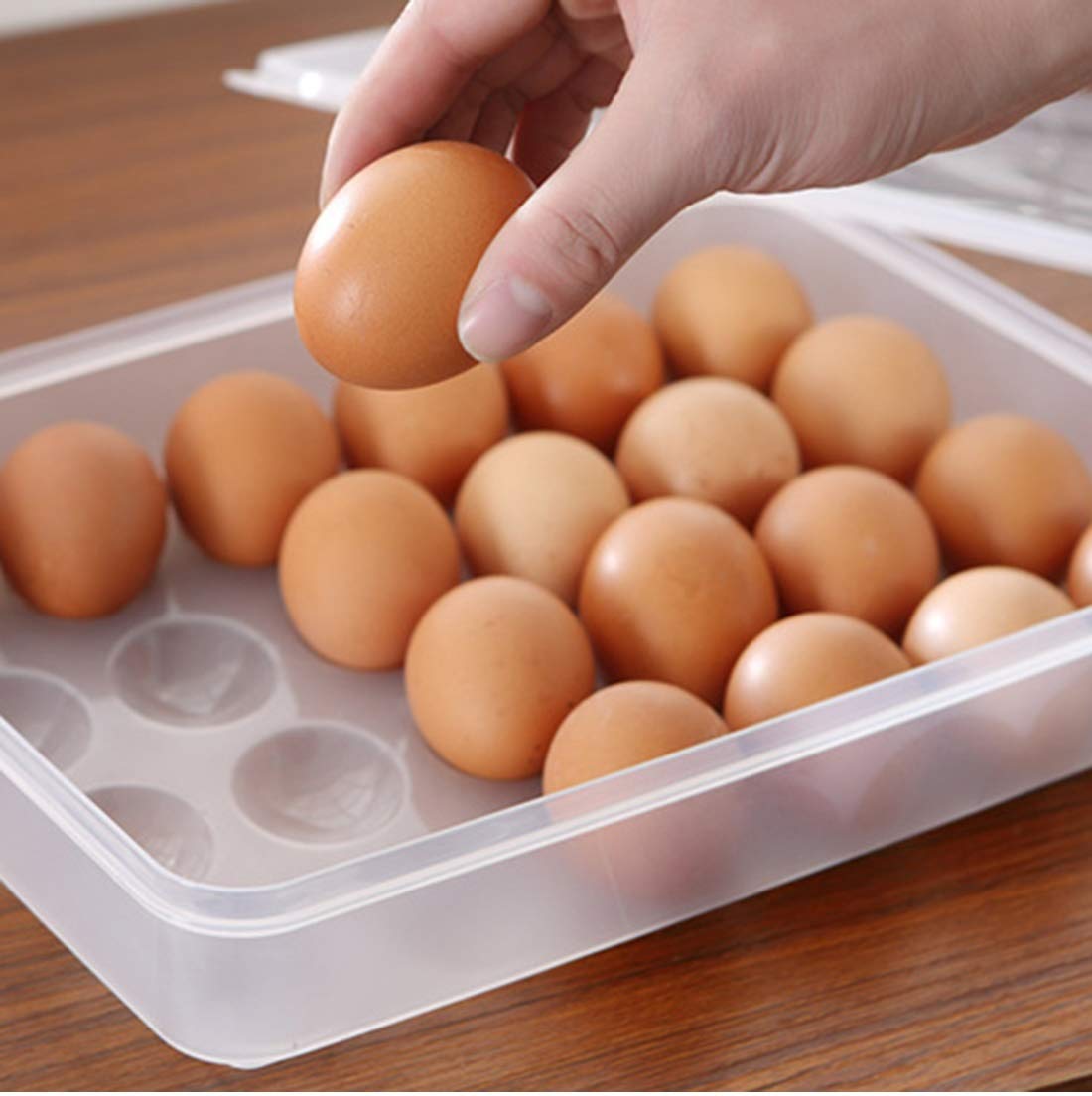 N M Z ABS Plastic Transparent color 24 Grids Transparent Egg Tray Storage Box Freezer Eggs Box-Transparent Preservation 1 Pc 1