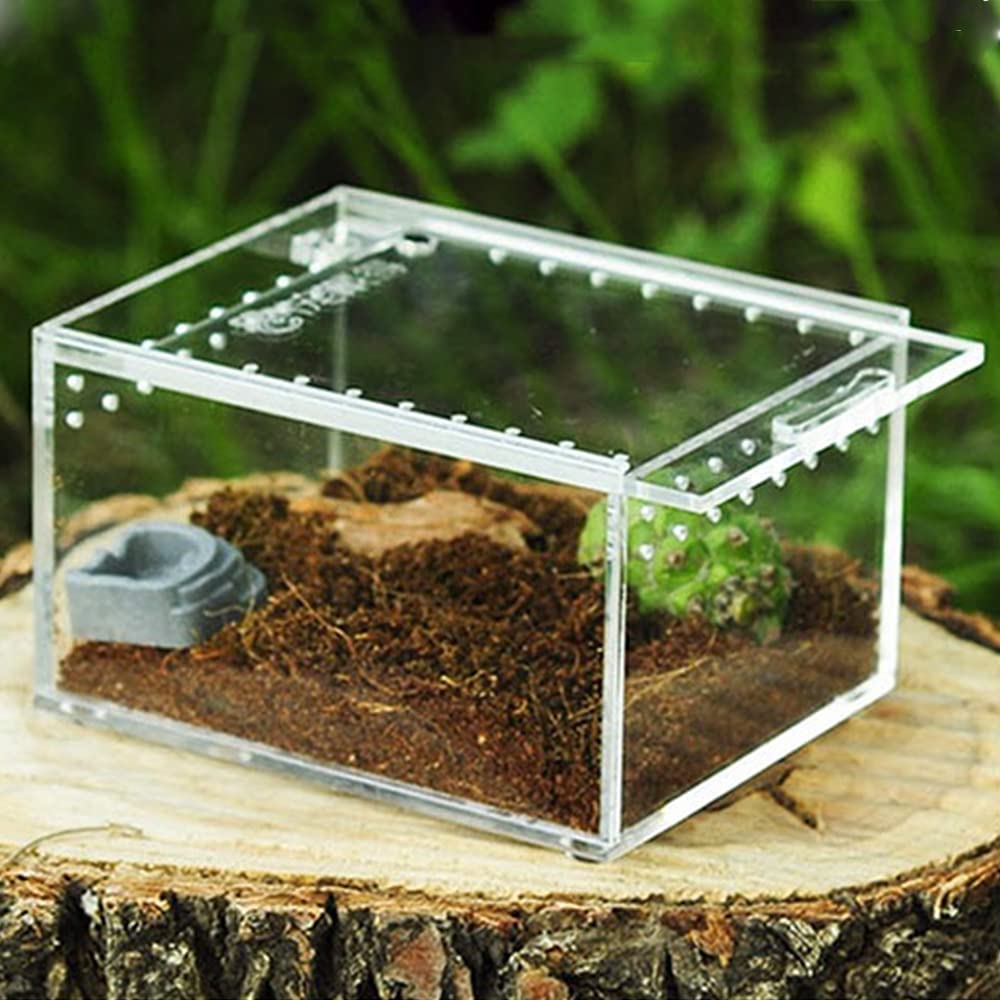 Buy YOGURTCK Mini Little Starter Enclosure, Critter Keeper Box