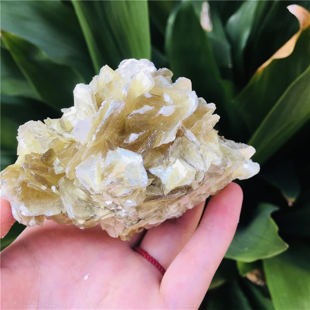 Decorazione Domestica Esemplare di primario Naturale Pietre di Mica Dorata Decorazioni per la casa (Size : 400g)