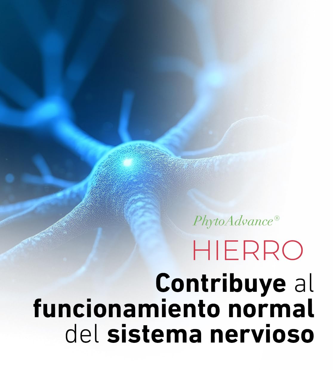 AlchemLife - PhytoAdvance Hierro | Formación de Glóbulos Rojos y Energía | 30 Pastillas Blandas Masticables | Reduce Cansancio y Fatiga | Tecnología Lipofer de Alta Absorción | Sin Sabor Metálico