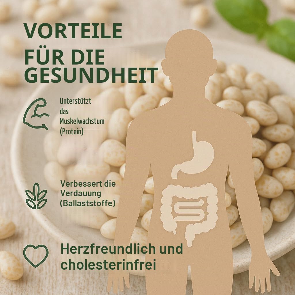 GiDeli Weiße Bohnen Getrocknet 25 kg - proteinreich, natürliche Hülsenfrüchte ohne Zusätze - ideal für Suppen, Eintöpfe, Salate - Küche, Gastronomie, Catering