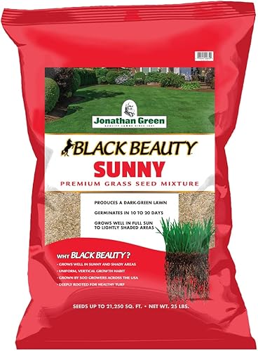 Jonathan Green (10870) Black Beauty Sunny Grass Seed - Semilla de césped de temporada fría (25 libras)