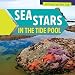 Sea Stars in the Tide Pool (Critters by the Sea)