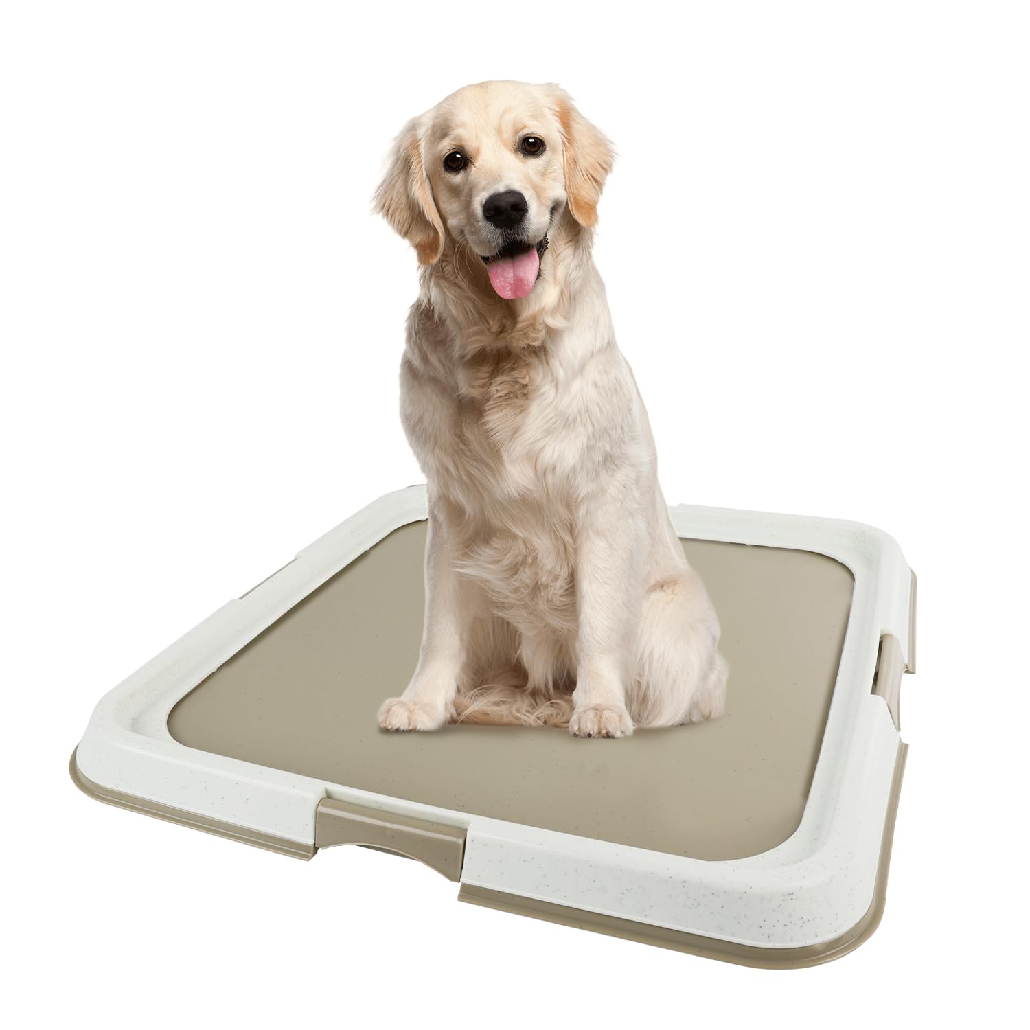 PAWISE Hundetraining Pad Halter Tablett, Indoor Welpen Töpfchen Pee Pad Boden Tablett, 23,5 x 23,5 Zoll, groß