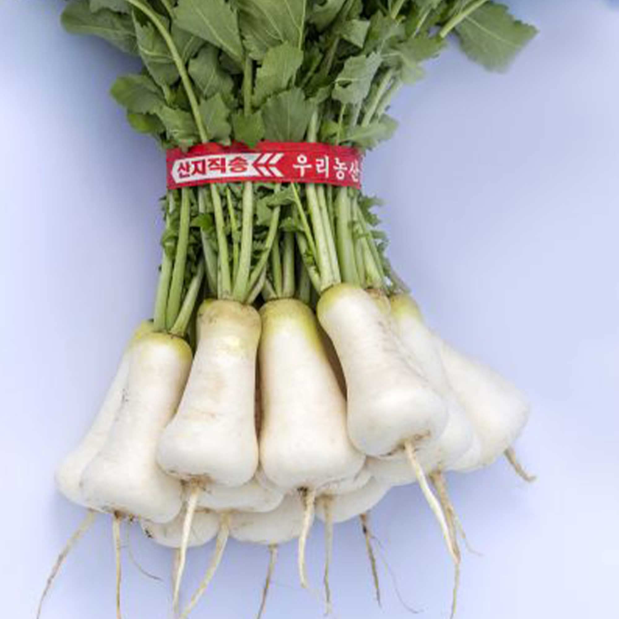 Amazon.com : Radish Seeds - Korean - Cheong Du - Hybrid - 2