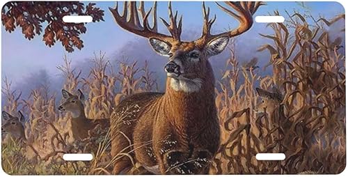 Placa de matrícula vintage de ciervos y bosques placa de matrícula decorativa para automóvil placa de tocador placa de metal para automóvil placa de