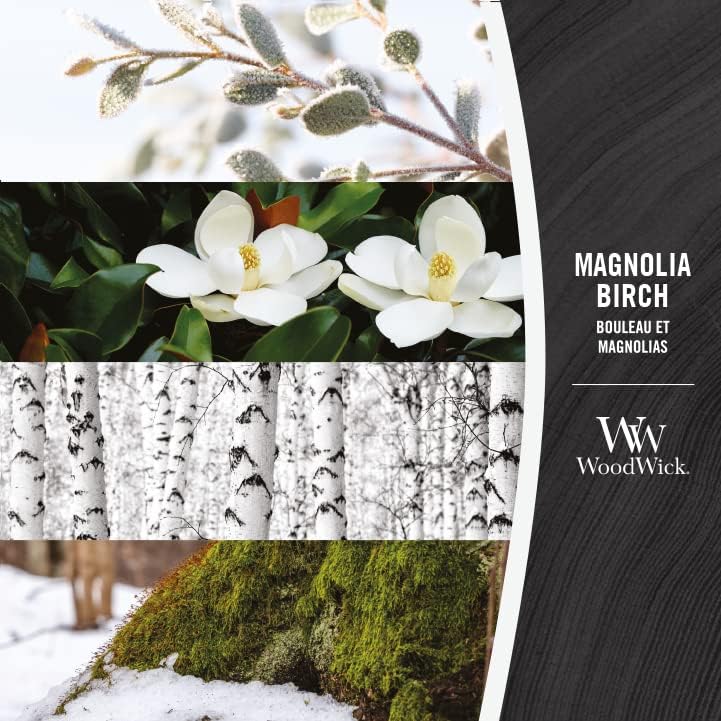 Miniatura 4 de WoodWick - Vela elipse, abedul de magnolia, 16 onzas