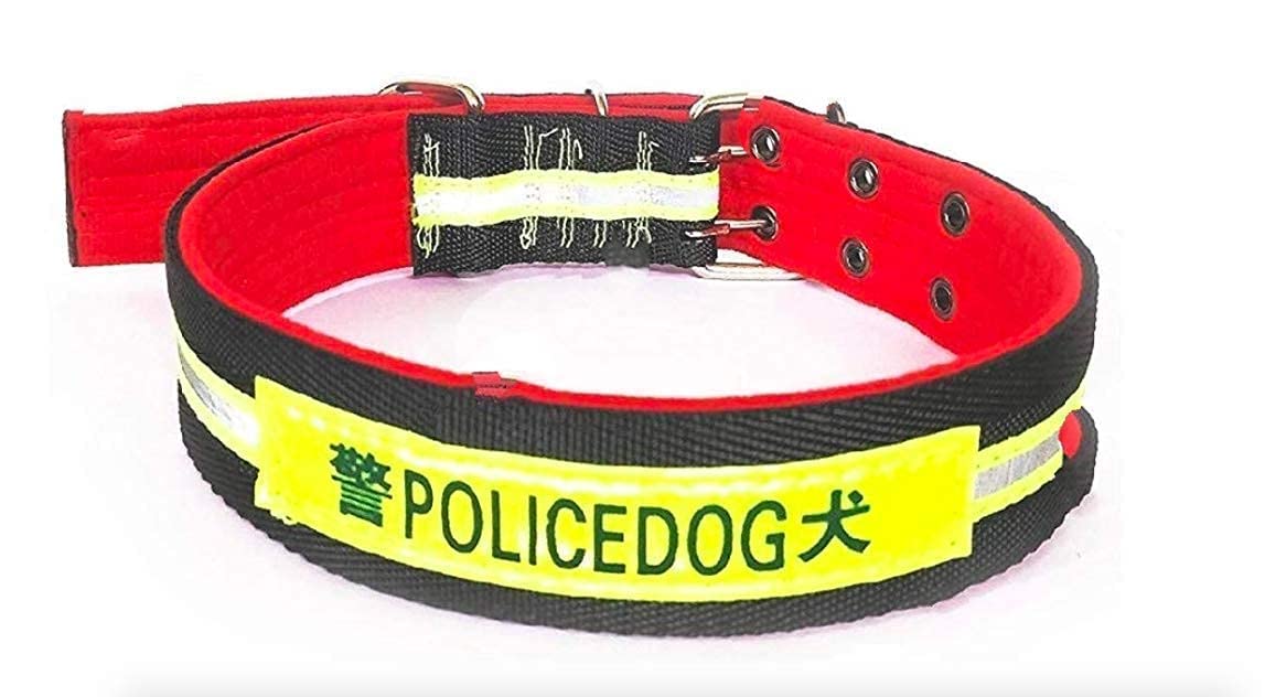 RvPaws Durable Integrated Police Dog Neon Color Nylon Patch Padded Collar with Adustable Buckle Neck Collar Belt Ideal for Maxi and Large Dogs (20-26 Inch) X-Large Size (B0C5RHJQRW) Amazon Price History, Amazon Price Tracker