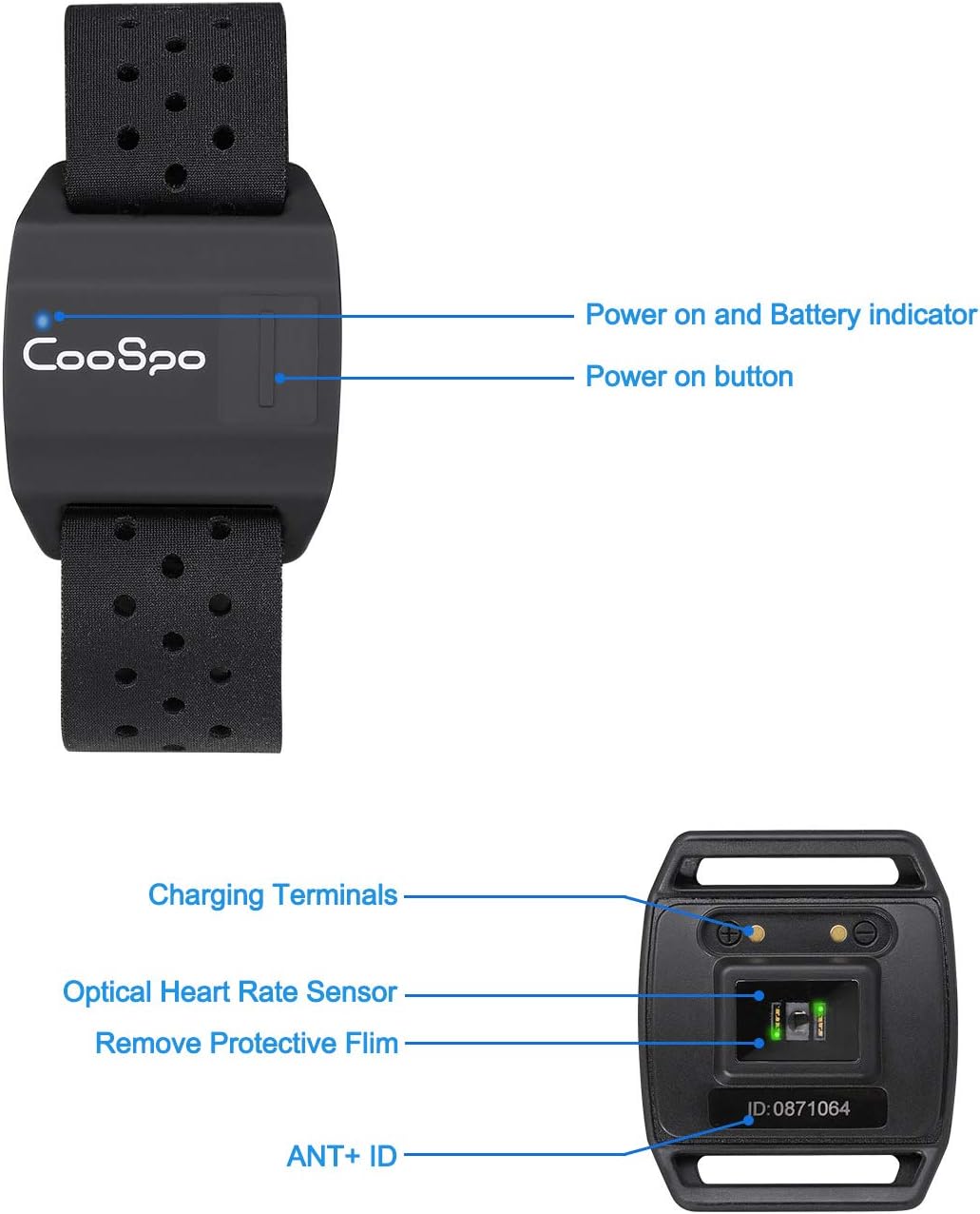 CooSpo Bluetooth & ANT+ Heart Rate Monitor Armband Optical HRM Sensor Waterproof IP67 Fitness Tracker Armband Compatible with Zwift, Wahoo Fitness, Endomondo, Peloton(One More Free Armband) : Sports & Outdoors